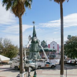 Prepara Ramos Arizpe una gran decoración navideña 20251