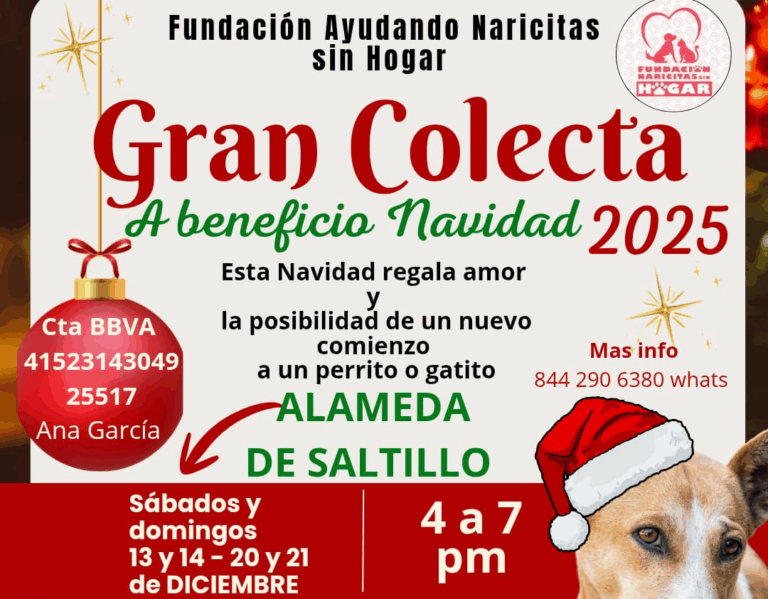 Realizarán colecta navideña a beneficio de perros y gatos rescatados en Saltillo