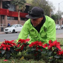 Refuerza Javier Díaz acciones de atención y limpieza en Lomas de Lourdes4