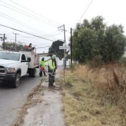 Refuerza Javier Díaz acciones de atención y limpieza en Lomas de Lourdes5