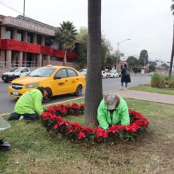 Refuerza Javier Díaz acciones de atención y limpieza en Lomas de Lourdes6