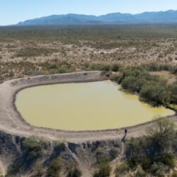 Se invirtieron más de 100 mdp en el campo de Saltillo1