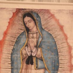 Tiene Diócesis de Saltillo a su1