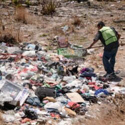 Trabajamos por la conservación del medio ambiente1
