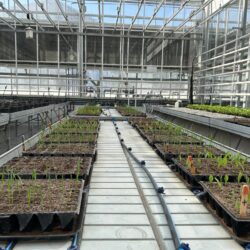 UPL impulsa desde Ramos Arizpe la agricultura sustentable con invernadero y laboratorio de última generación5