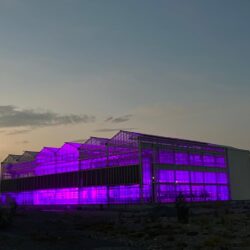 UPL impulsa desde Ramos Arizpe la agricultura sustentable con invernadero y laboratorio de última generación7