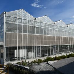 UPL impulsa desde Ramos Arizpe la agricultura sustentable con invernadero y laboratorio de última generación9