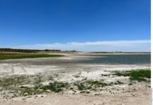 Urgen acciones por sequía tras acuerdo de agua con EU