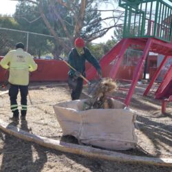 WhatsApp Image 2025-12-10 at 4.59.03 PM (1)