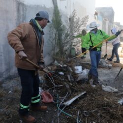 WhatsApp Image 2025-12-10 at 4.59.04 PM (6)