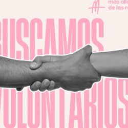 buscan voluntarios