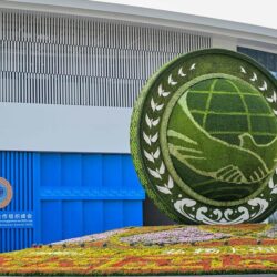 como las iniciativas 4