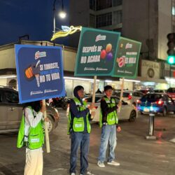 continuan cruceros 1