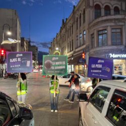 continuan cruceros 3