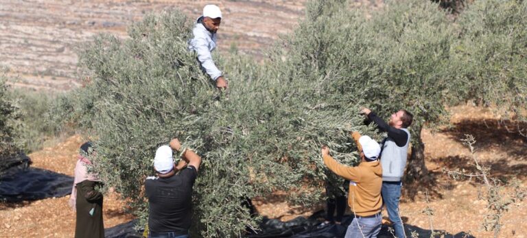 La represión israelí contra la sociedad civil palestina alcanza niveles alarmantes