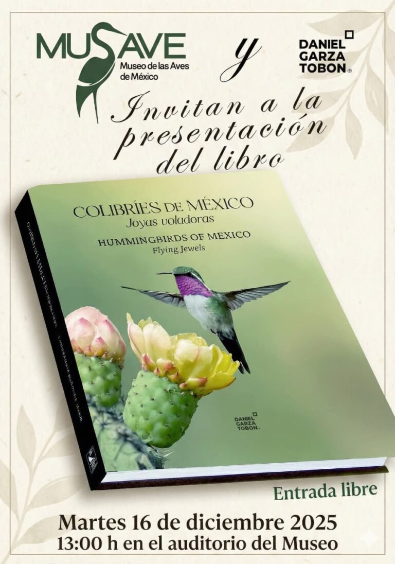 Presentarán el libro más esperado del año: Colibríes de México, de Daniel Garza Tobón
