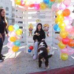 0659f47c-08e6-4083-ae73-93815a26c887