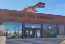 Tendrá Museo del Desierto tienda y exposición en el AIFA