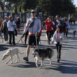 76bddcff-76bf-4c53-914c-75944954c99b