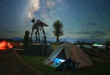 Alistan recorridos en vinícolas de General Cepeda para turistas que acudan a juegos del Mundial