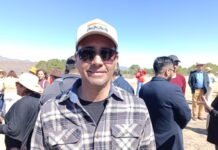 Buscan en Saltillo disminuir problemática de perros y gatos en situación de calle