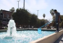 Dan mantenimiento diario a fuentes y lagos de los espacios públicos de Torreón