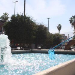 Dan mantenimiento diario a fuentes y lagos de los espacios públicos de Torreón