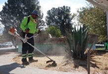 Delimita Saltillo los carriles centrales del bulevar Musa de León