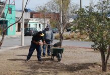 Deshierba y limpia Saltillo pasos escolares en la colonia Universidad Pueblo