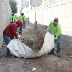 Fortalece Javier Díaz Centros Comunitarios con limpieza y deshierbe5