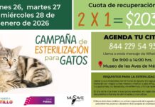 Habrá los días 26, 27 y 28 de enero campaña de esterilización de gatos al 2 x 1 en el MUSAVE