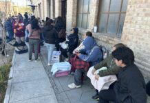 Impulsan esterilización gratuita de mascotas en el DIF Ramos Arizpe; atienden a animales y abren lista de espera por alta demanda