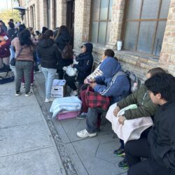 Impulsan esterilización gratuita de mascotas en el DIF Ramos Arizpe; atienden a animales y abren lista de espera por alta demanda1