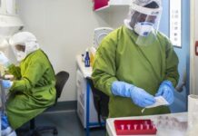 La OMS considera “bajo” el riesgo de expansión del brote de virus Nipah en India