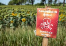 La ONU pone en marcha un plan trienal para proteger el granero de Ucrania