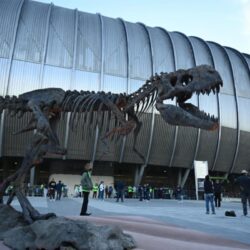 Miles disfrutan stand de Saltillo en el Juego de Leyendas, en Estadio BBVA9