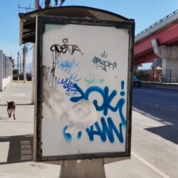 Piden saltillenses reparación o retiro definitivo de parabuses destruidos