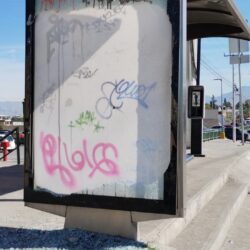 Piden saltillenses reparación o retiro definitivo de parabuses destruidos2