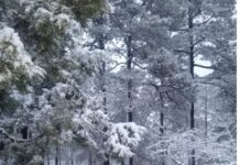 Prevén nevadas en norte del País