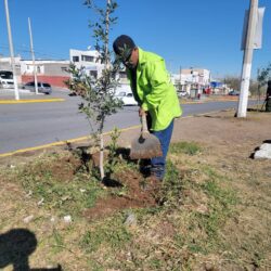 Protege Municipio Centro Histórico; retira publicidad irregular5
