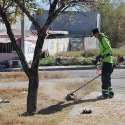 Realiza Saltillo limpieza profunda a banquetas del Centro Histórico5
