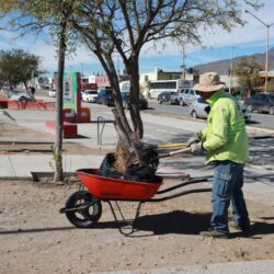 Realiza Saltillo limpieza profunda a plazas de “Activa tu Parque”2