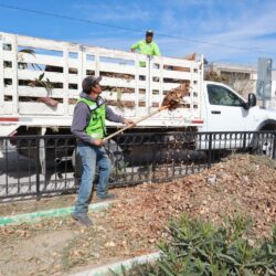 Rehabilita Municipio plazas públicas de Nuevo Mirasierra y Oceanía2