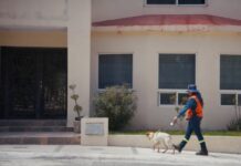 Saltillo recibirá el Distintivo a la Excelencia Municipal 2025 por el programa «MANCHAS, detector de fugas»