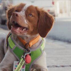 Saltillo recibirá el Distintivo a la Excelencia Municipal 2025 por el programa3