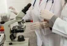 Científicos de España logran eliminar al 100 % el cáncer de páncreas en ratones