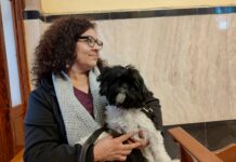 ¿Quieres que bendigan a tu mascota? En Saltillo habrá misa especial