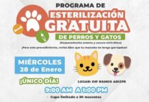 Reanudan jornadas de esterilización gratuita para mascotas en Ramos Arizpe