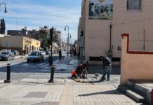 Rehabilitan en Saltillo tramos de la calle Álvaro Obregón