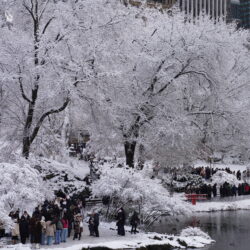 EEUU-NUEVA YORK-NIEVE